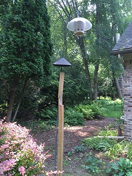 Birdfeed extended up